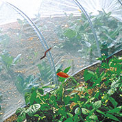 Red anti insectos para huertos – 2,2 x 10 m